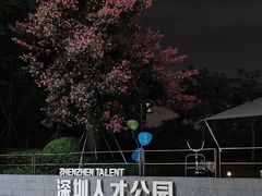 -深圳人才公园