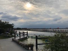 -鹅湖玫瑰文化园