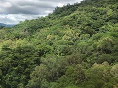 -热带雨林自然公园