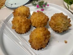 -丁老爷子苏香圆
