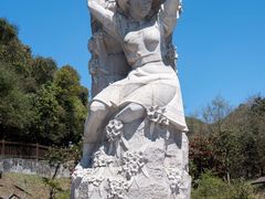 -贵州百里杜鹃风景名胜区
