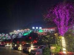 -枇杷园食为鲜火锅(南山店)