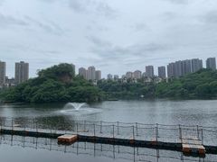 -重庆彩云湖湿地公园