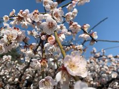 -白塘生态植物园