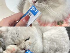 -怪兽屋·羊驼·猫咖·狗咖(俊华广场店)