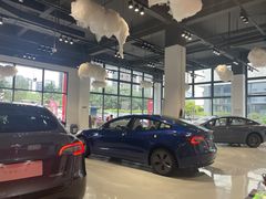 -TESLA 特斯拉(深圳观澜特斯拉直营钣喷中心)