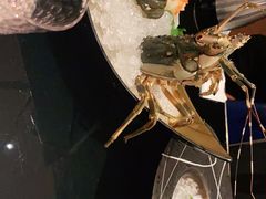 -Mr·Fish鱼鲜生海鲜放题(银泰in99店)