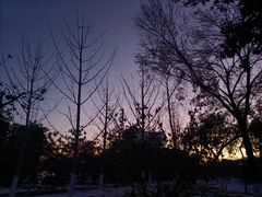 -西海子公园