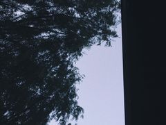 -南塘油赞子(南塘店)