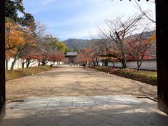 -醍醐寺