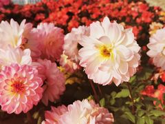 -咸阳湖景区-统一广场