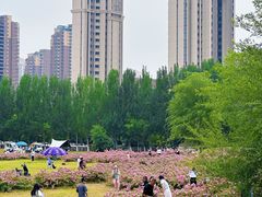 -长白岛森林公园