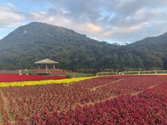 -广州市石门国家森林公园