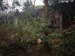 -熊猫邮局(少城店)