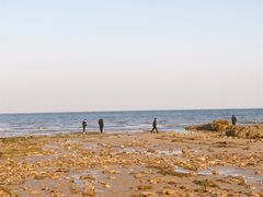-日照海滨国家森林公园