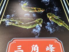 -蛙一刀·麻椒鱼火锅(金仙桥店)