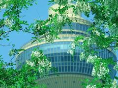 -中央广播电视塔