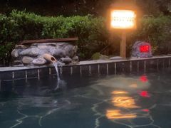 -明月山天沐温泉度假村