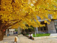 -辽宁大学(崇山校区)