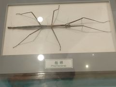 -上海昆虫博物馆