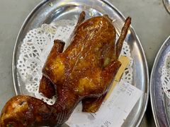 -南海鸽天下(肇庆店)