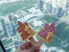-平安金融中心云际观光层