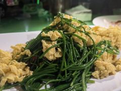沙葱炒鸡蛋-毡房姑娘·新疆菜·烧烤