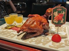 -大鸽饭(动物园店)