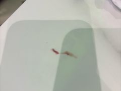-洪氏嗨捞·广东猪肚鸡·椰子鸡火锅(西咸万象城店)