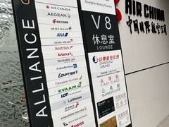 -虹桥机场国航贵宾室v8