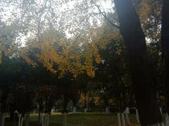 -四川大学(华西校区)