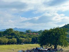 -风云岭森林公园