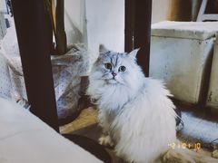 -小时光咖啡馆(北锣鼓巷店)