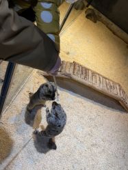 -酷嗒动物文化乐园(cutezoo西溪乐天城店)