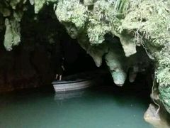 -怀托摩萤火虫洞