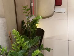 -泰合玺·精油疗愈 SPA(南京河西万达店)