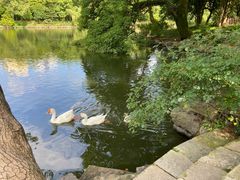 -台州府城(东湖)