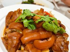 四点金卤水猪脚-厝包四点金·潮宴(太古仓店)