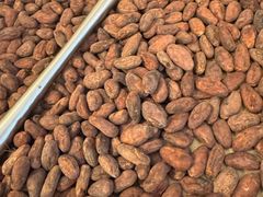 -SANYAY叁言咖啡巧克力