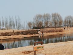 -马家湾湿地公园