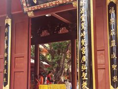 -深圳仙湖植物园