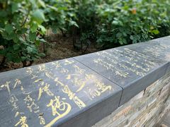 -莲花池公园