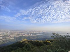 -紫金山山顶公园