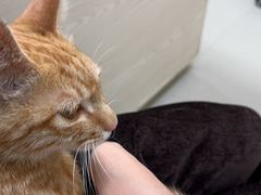 -美美宠物诊疗中心·异宠·骨科(滨江东信分院)