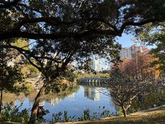 -四海公园(南山区)