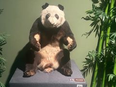 -深圳博物馆历史民俗馆