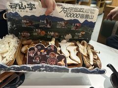 -芸山季·云南山珍菌火锅(南翔印象城MEGA店)