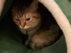 -H立方实景剧情密室(天河旗舰店)