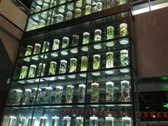 -广东中医药博物馆