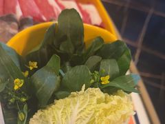 -润园四季椰子鸡火锅(海上世界店)